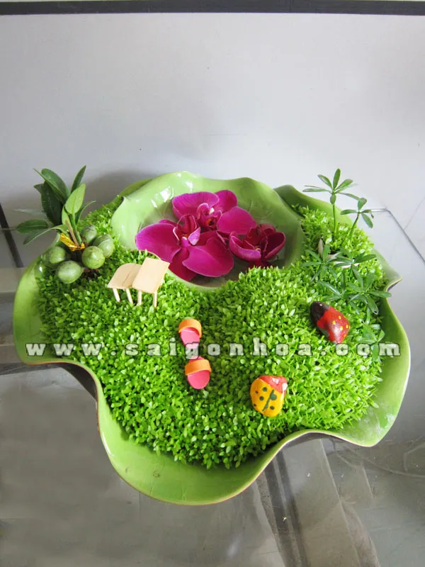 Mặt trước tiểu cảnh may mắn hoa cỏ mùa xuân