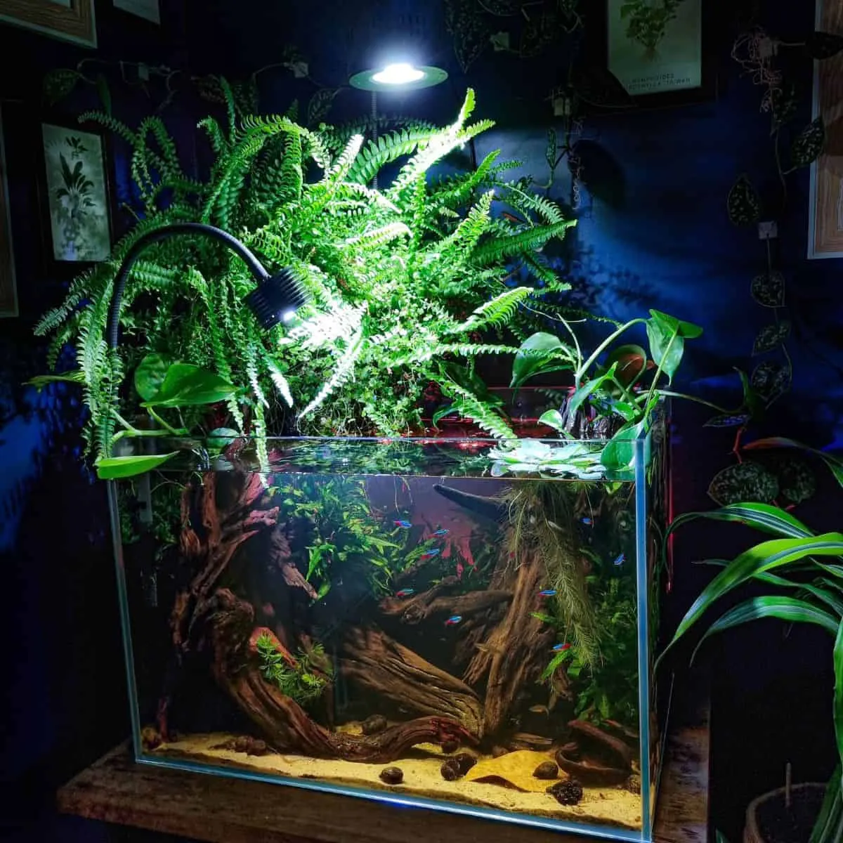 Riparium with pothos and ferns