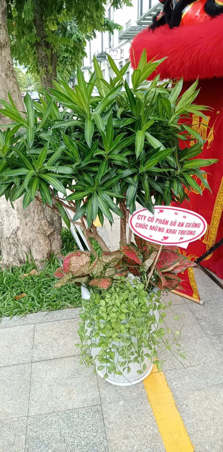 Cảnh quan xanh mát tại vườn 151 GARDEN